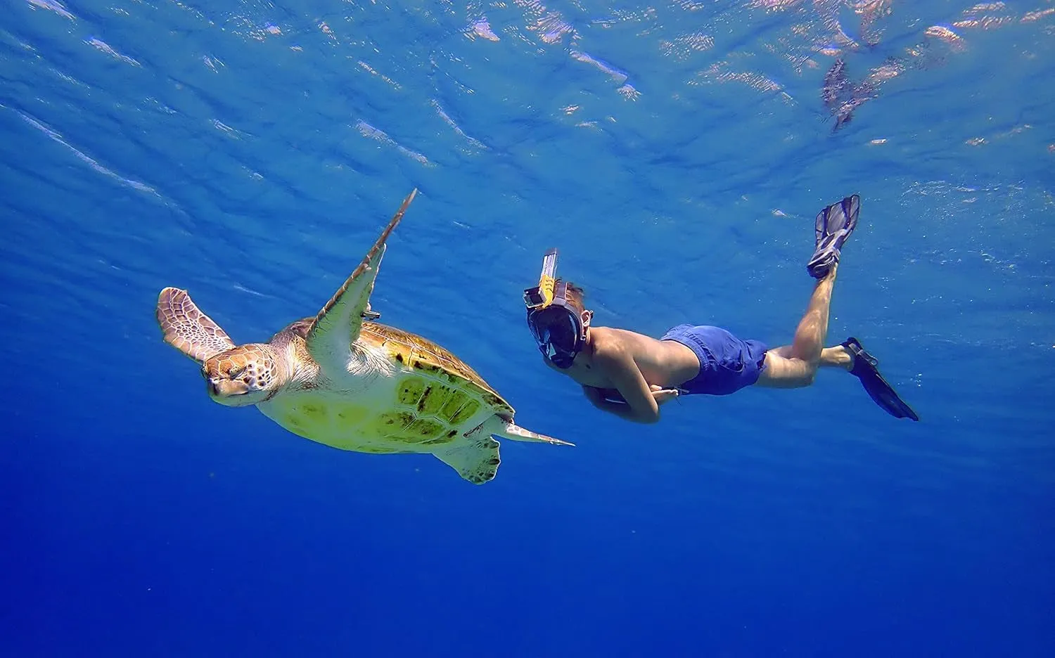 - Aria QR   Quick Release Snorkeling Mask - Full Face Snorkeling Mask - 180 Degree Underwater Vision - 8 Colours and 4 Sizes