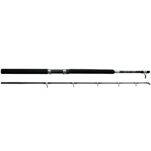 Abu Garcia GT 602 Boat Rod - 30lb