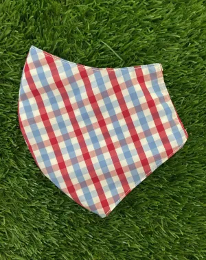 AP American History Gingham