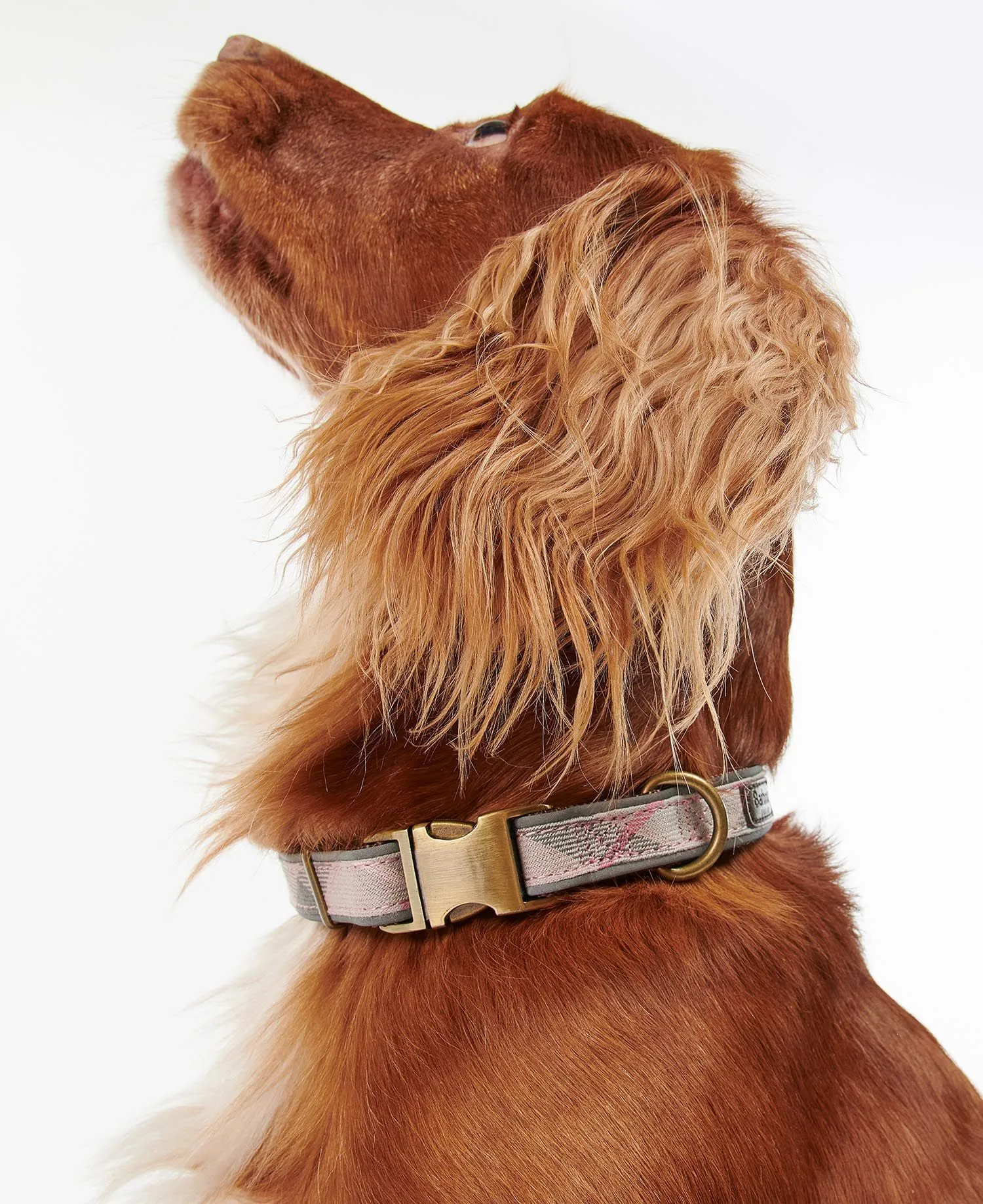 Barbour Reflective Tartan Adjustable Dog Collar