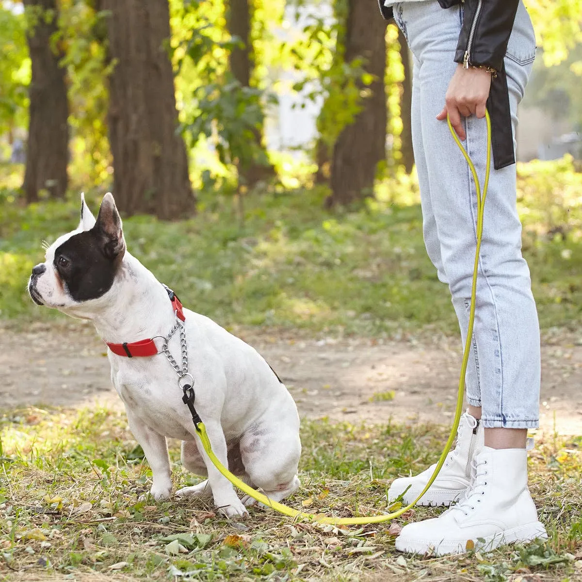 Biothane Waterproof Leash