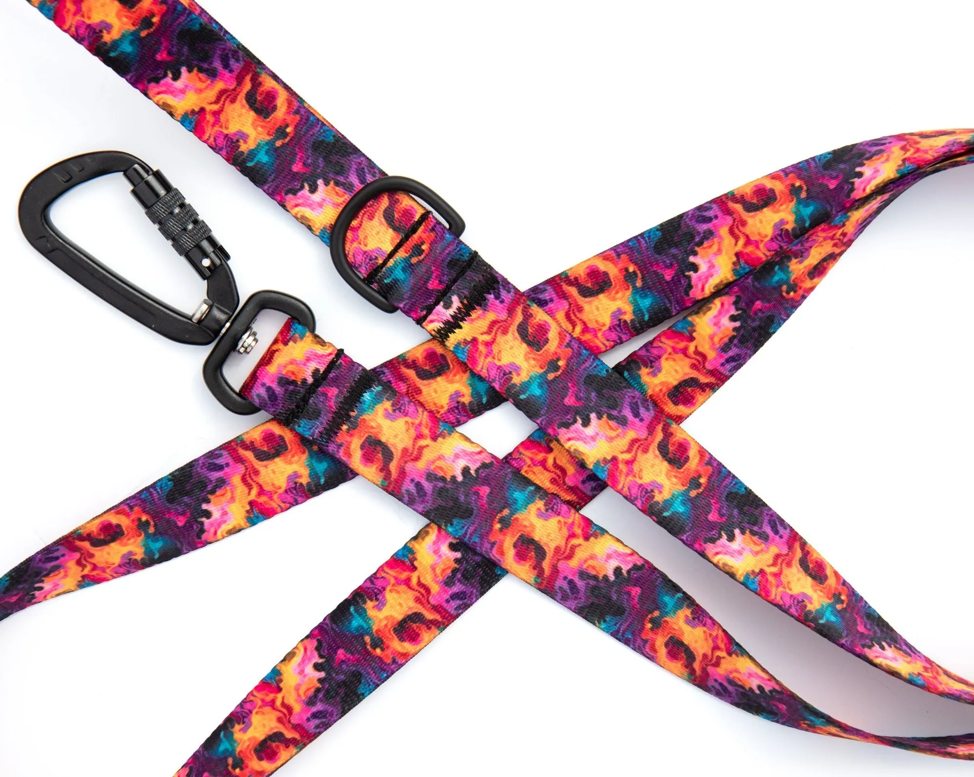 Blaze Leash