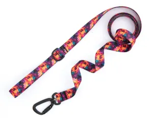 Blaze Leash