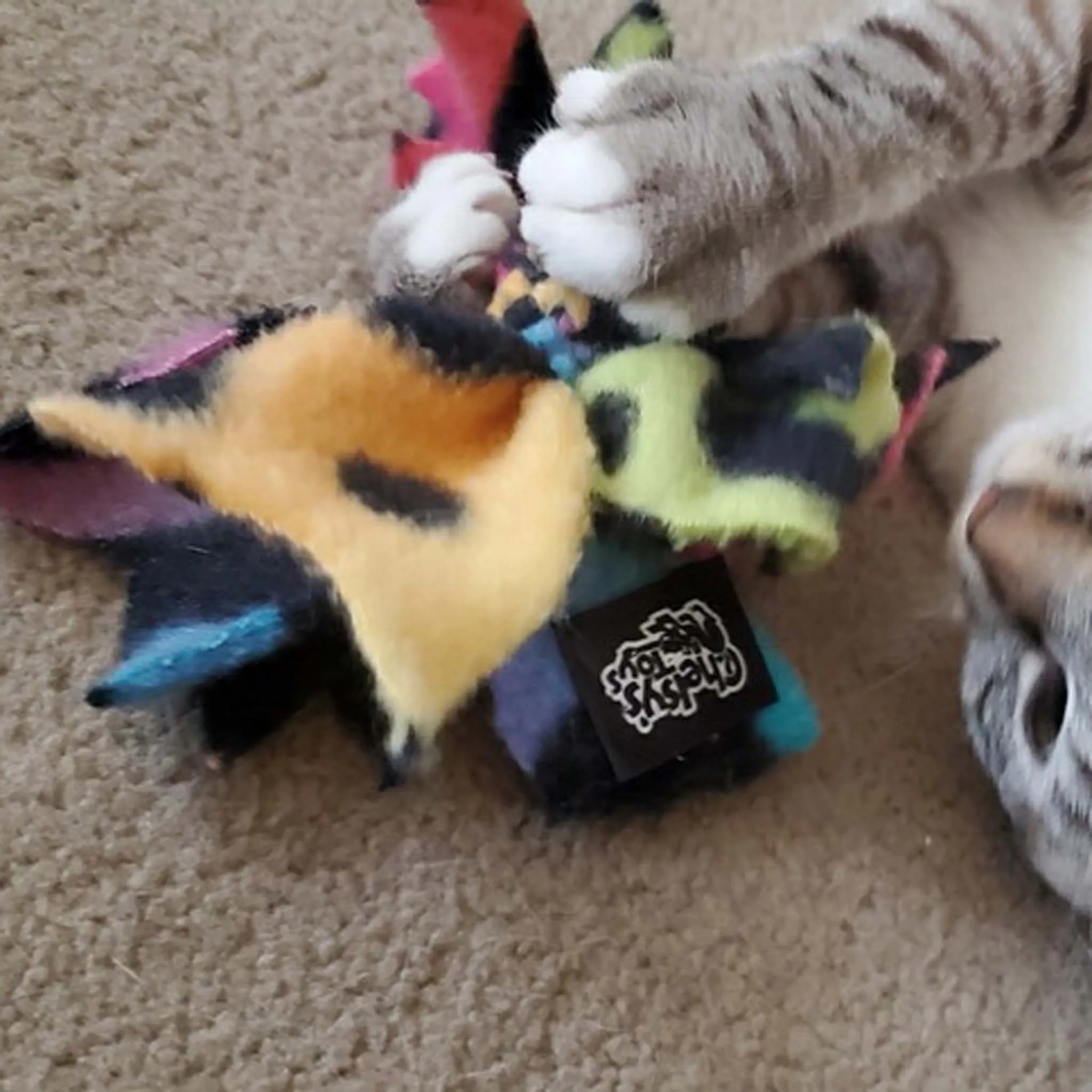 Cat Candy