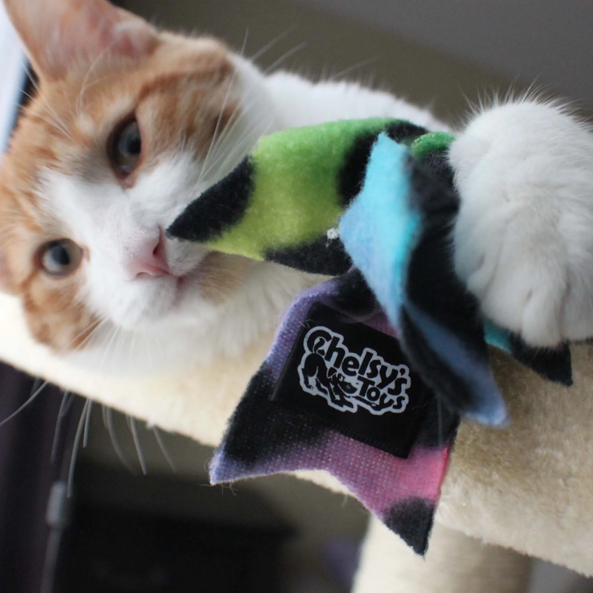 Cat Candy