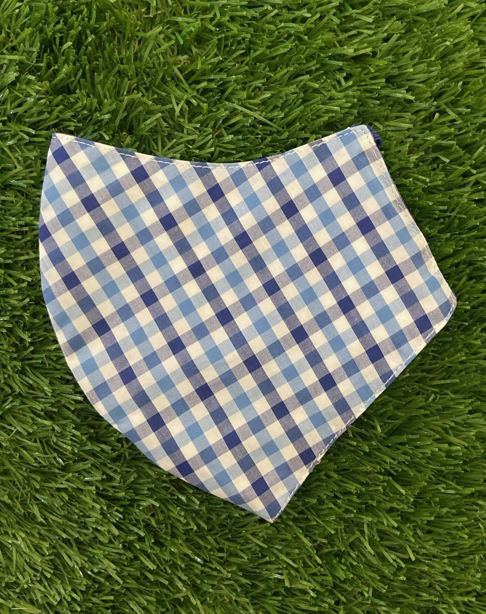 Dapper Dr. Fauci Gingham