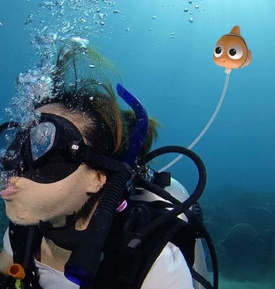 Diving Toys - Above your tank