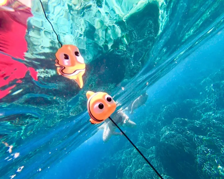 Diving Toys - Above your tank