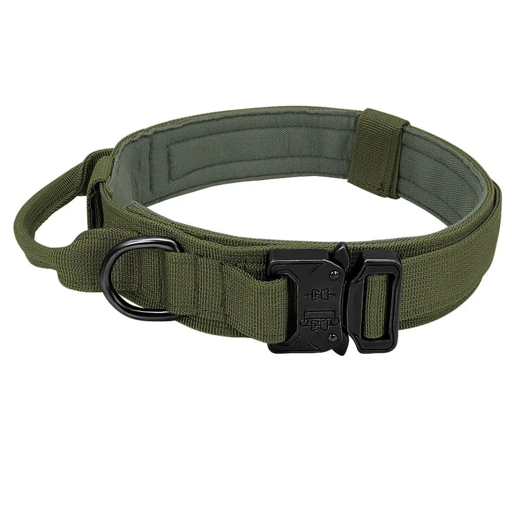 Dog Harness Collar Leash Combo No Pull