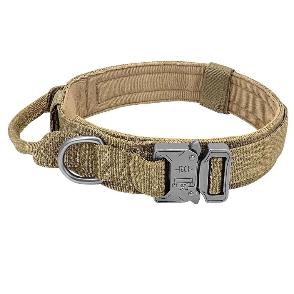 Dog Harness Collar Leash Combo No Pull