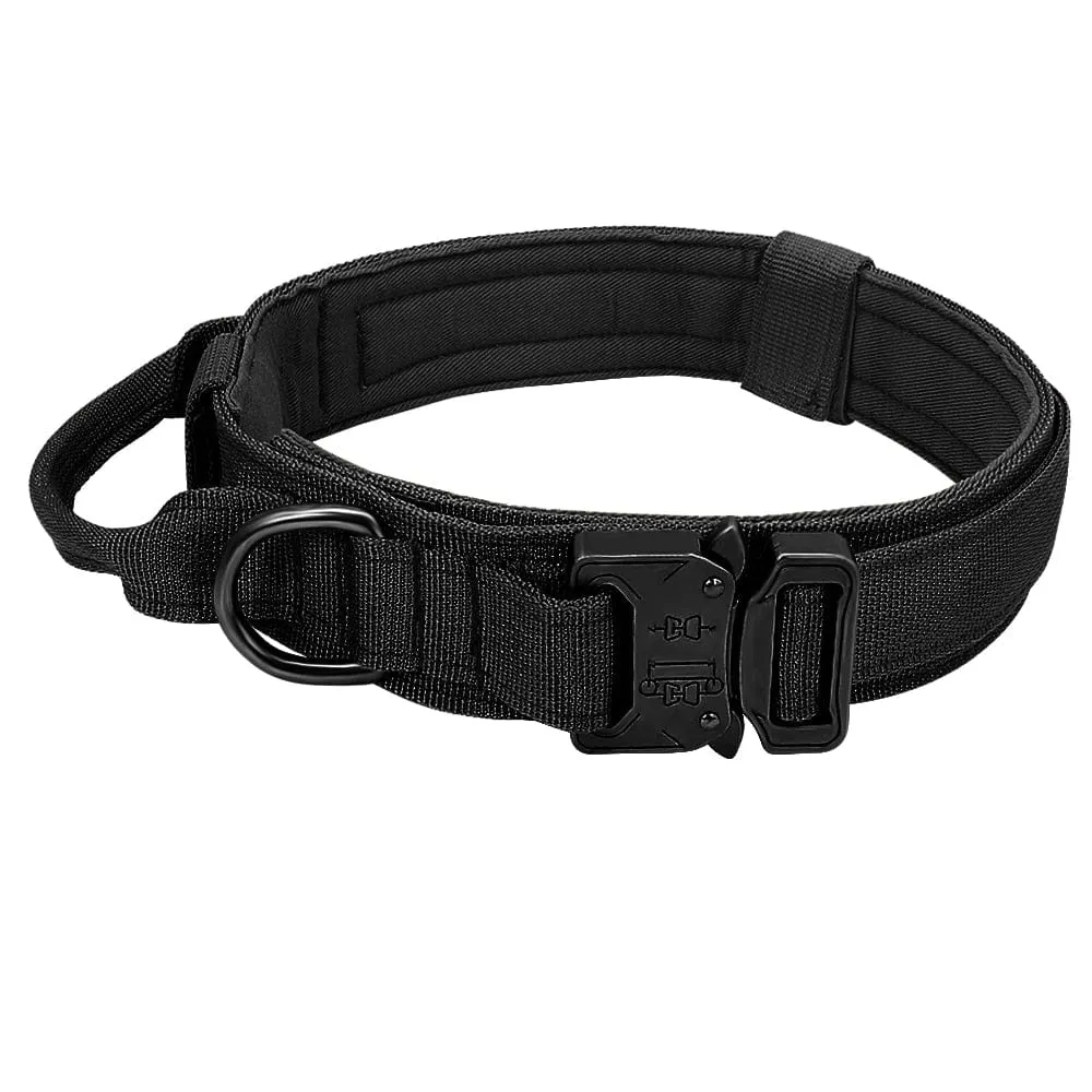 Dog Harness Collar Leash Combo No Pull