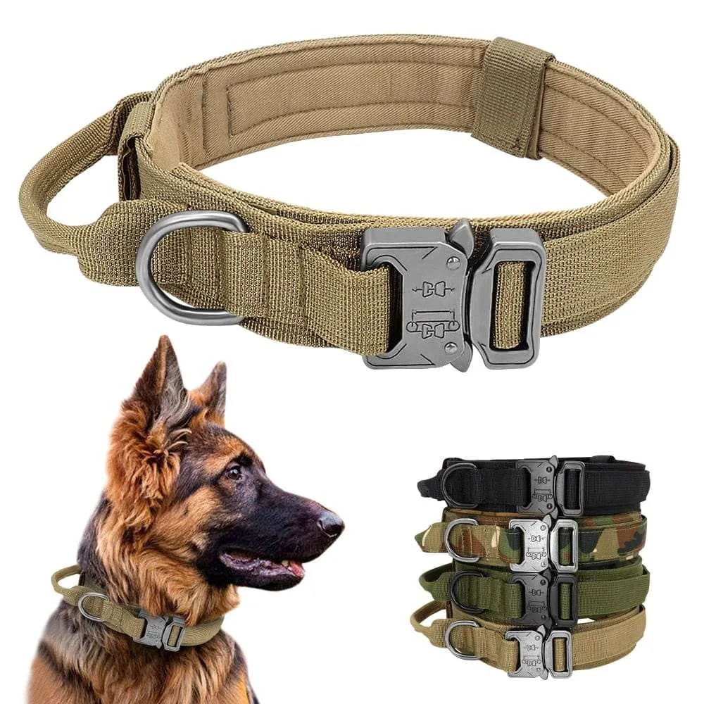 Dog Harness Collar Leash Combo No Pull