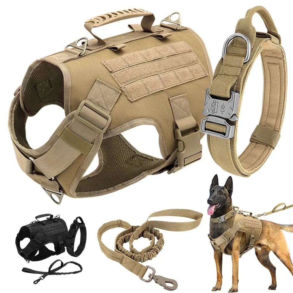 Dog Harness Collar Leash Combo No Pull