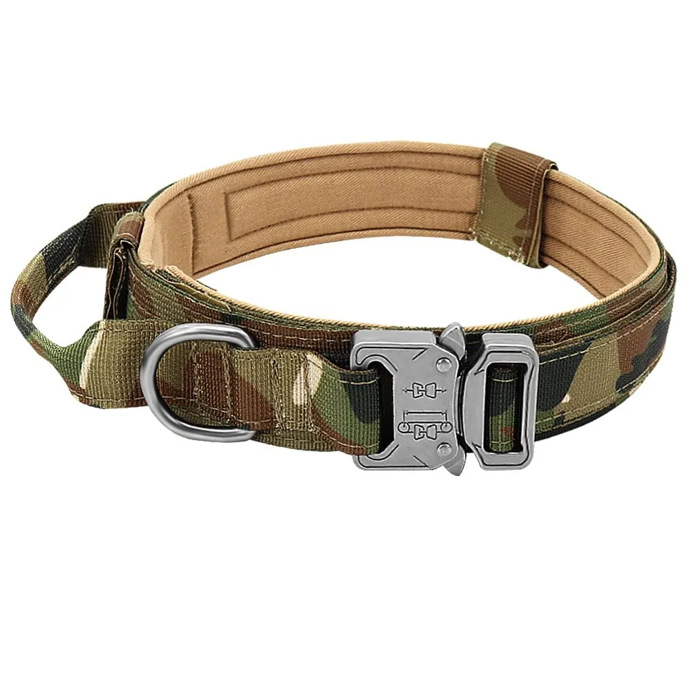 Dog Harness Collar Leash Combo No Pull