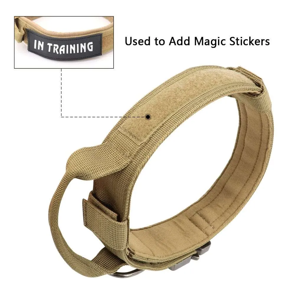 Dog Harness Collar Leash Combo No Pull
