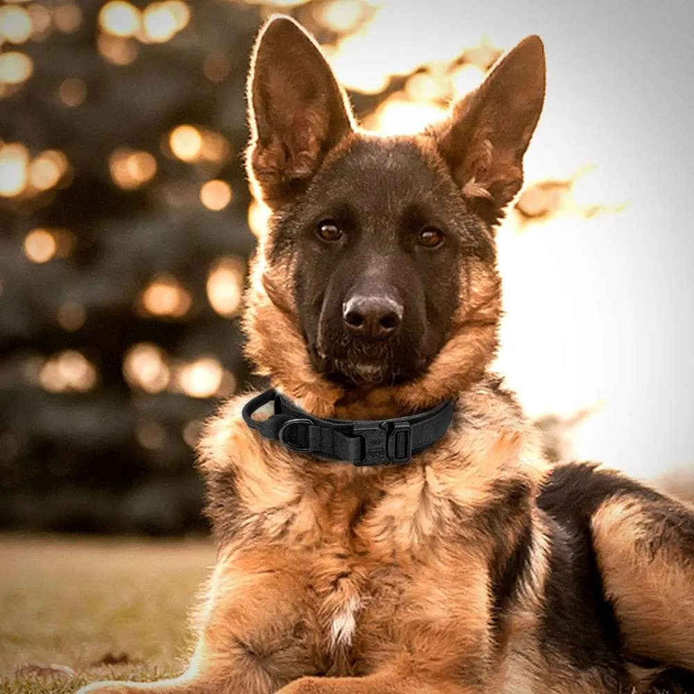 Dog Harness Collar Leash Combo No Pull