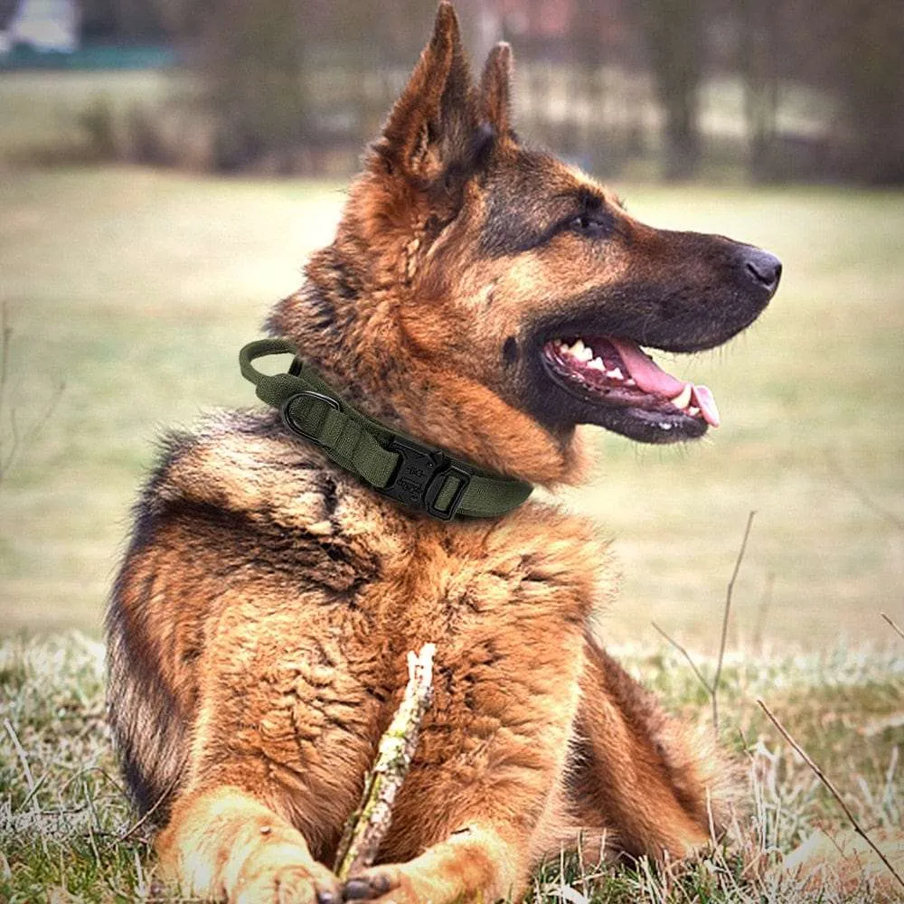 Dog Harness Collar Leash Combo No Pull