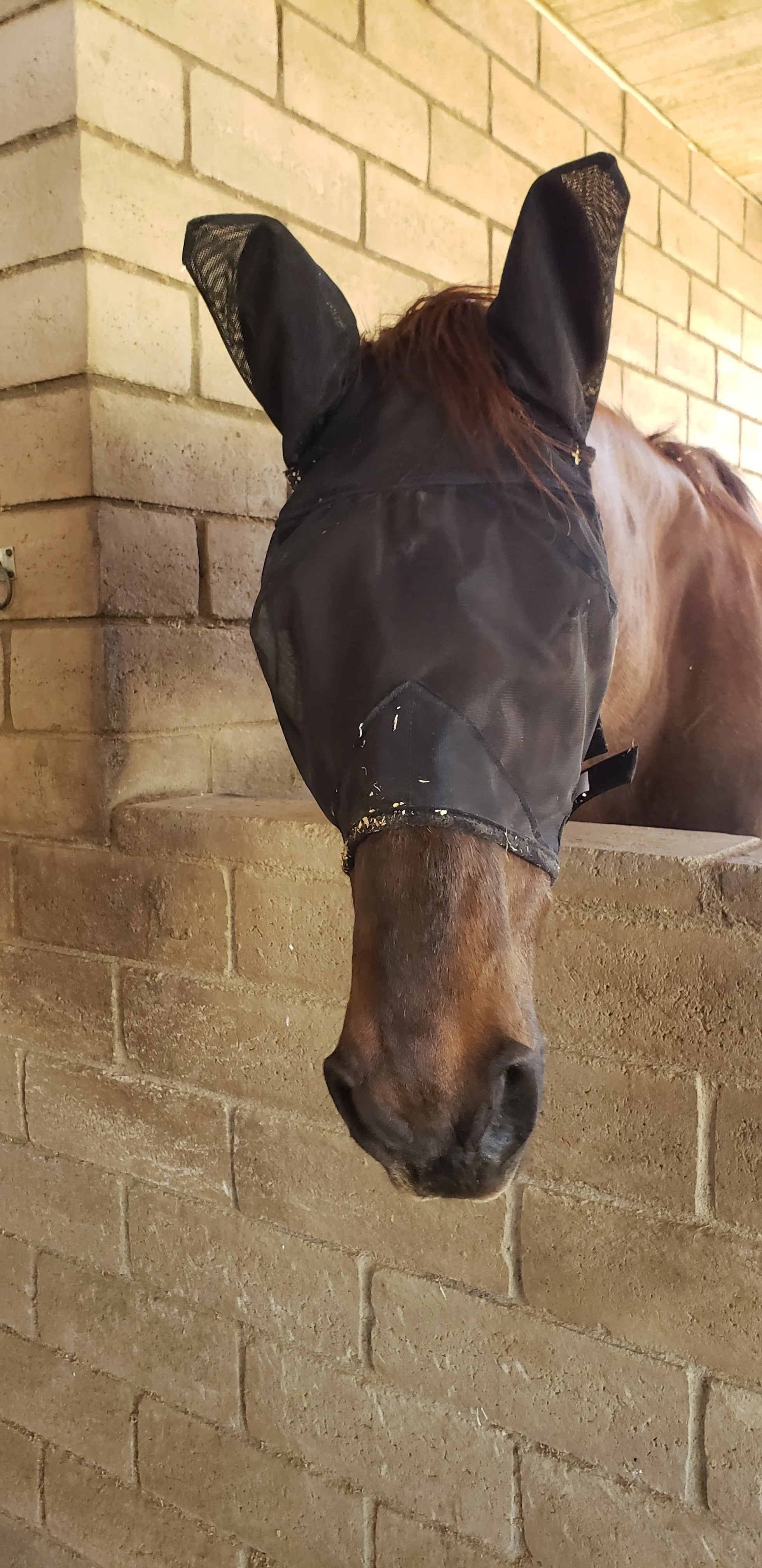 Horse Lightweight Fly Mask