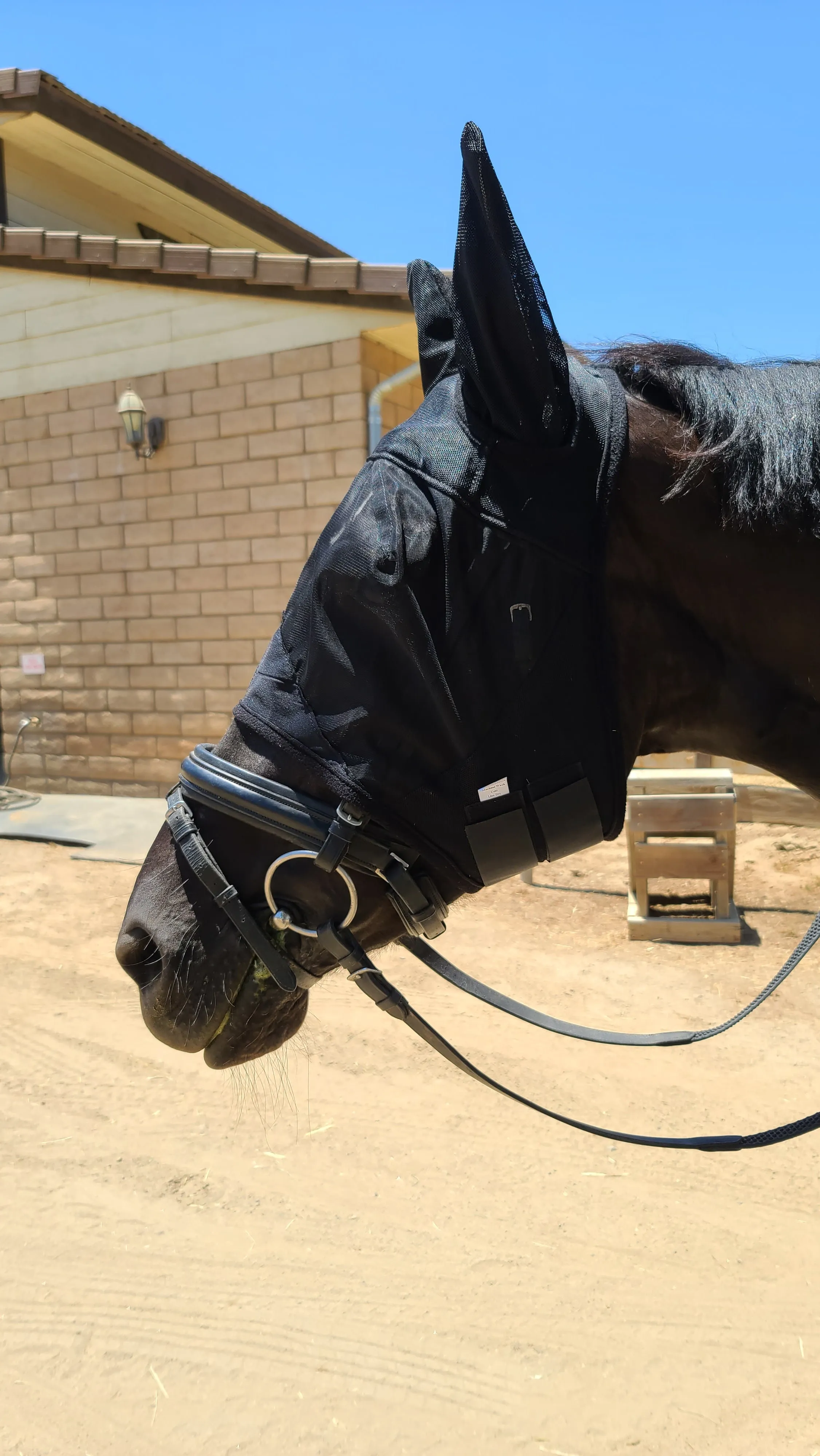Horse Lightweight Fly Mask
