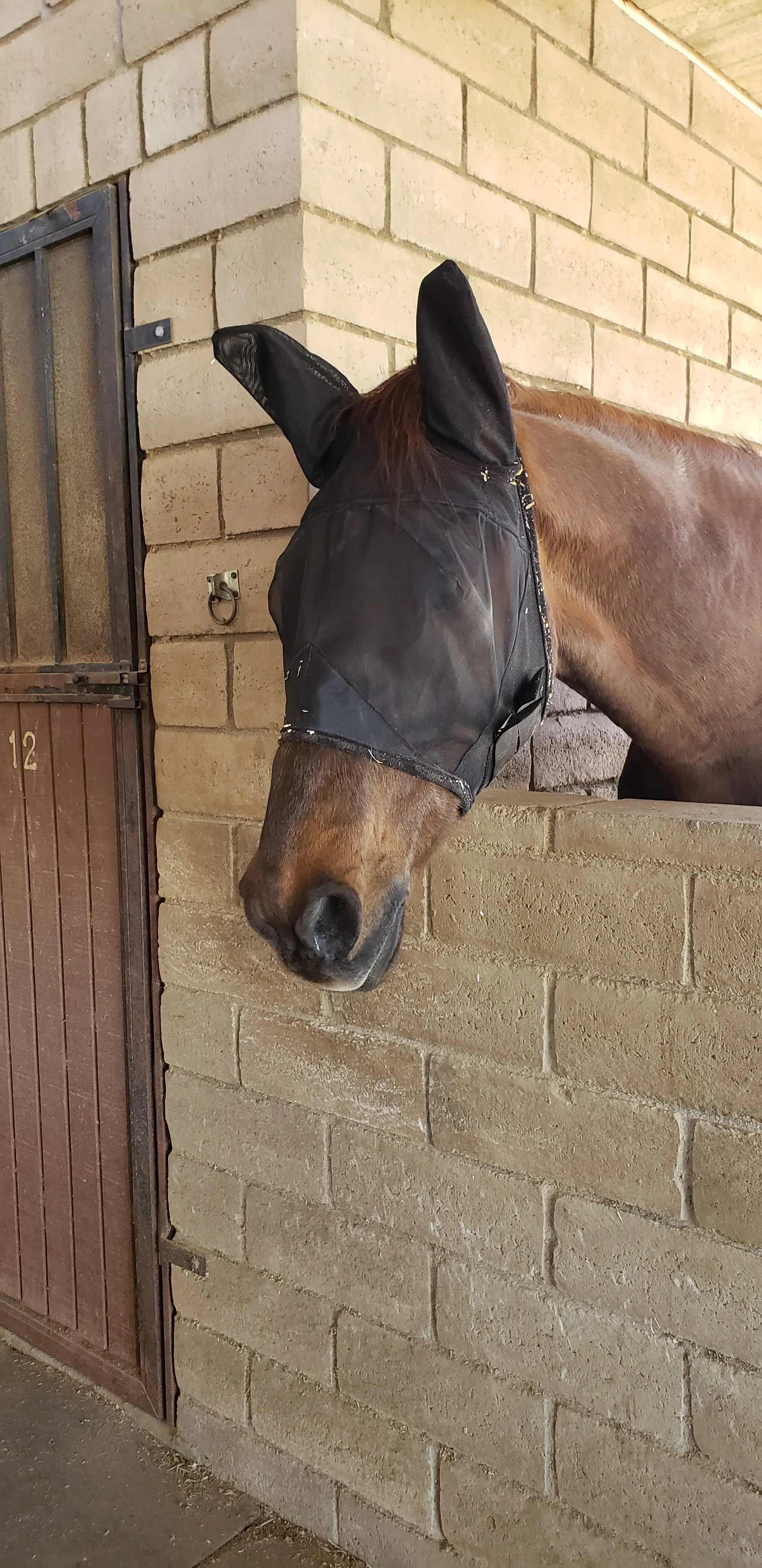 Horse Lightweight Fly Mask