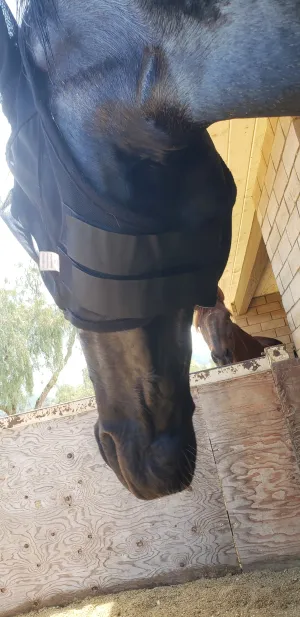 Horse Lightweight Fly Mask