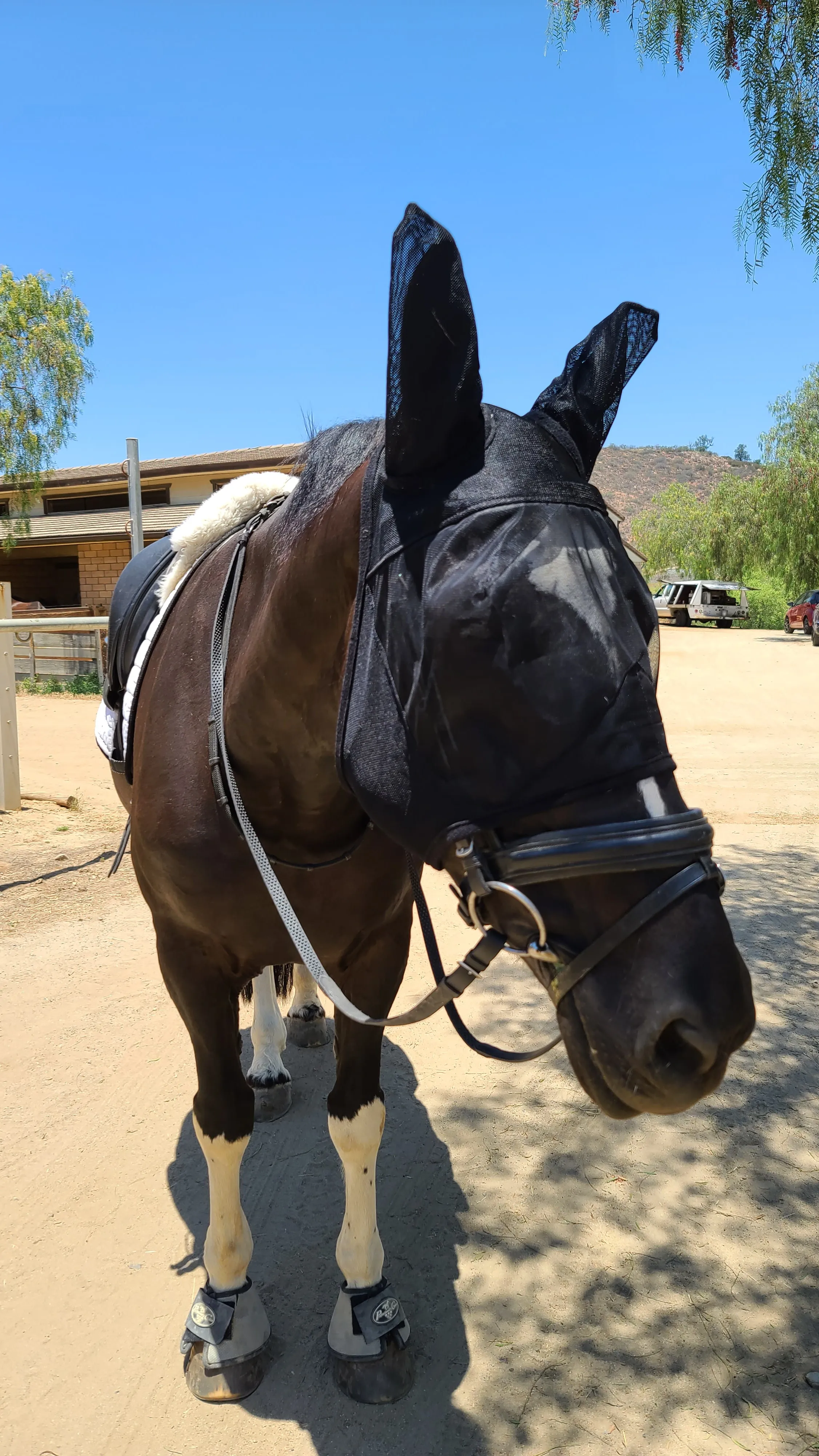Horse Lightweight Fly Mask