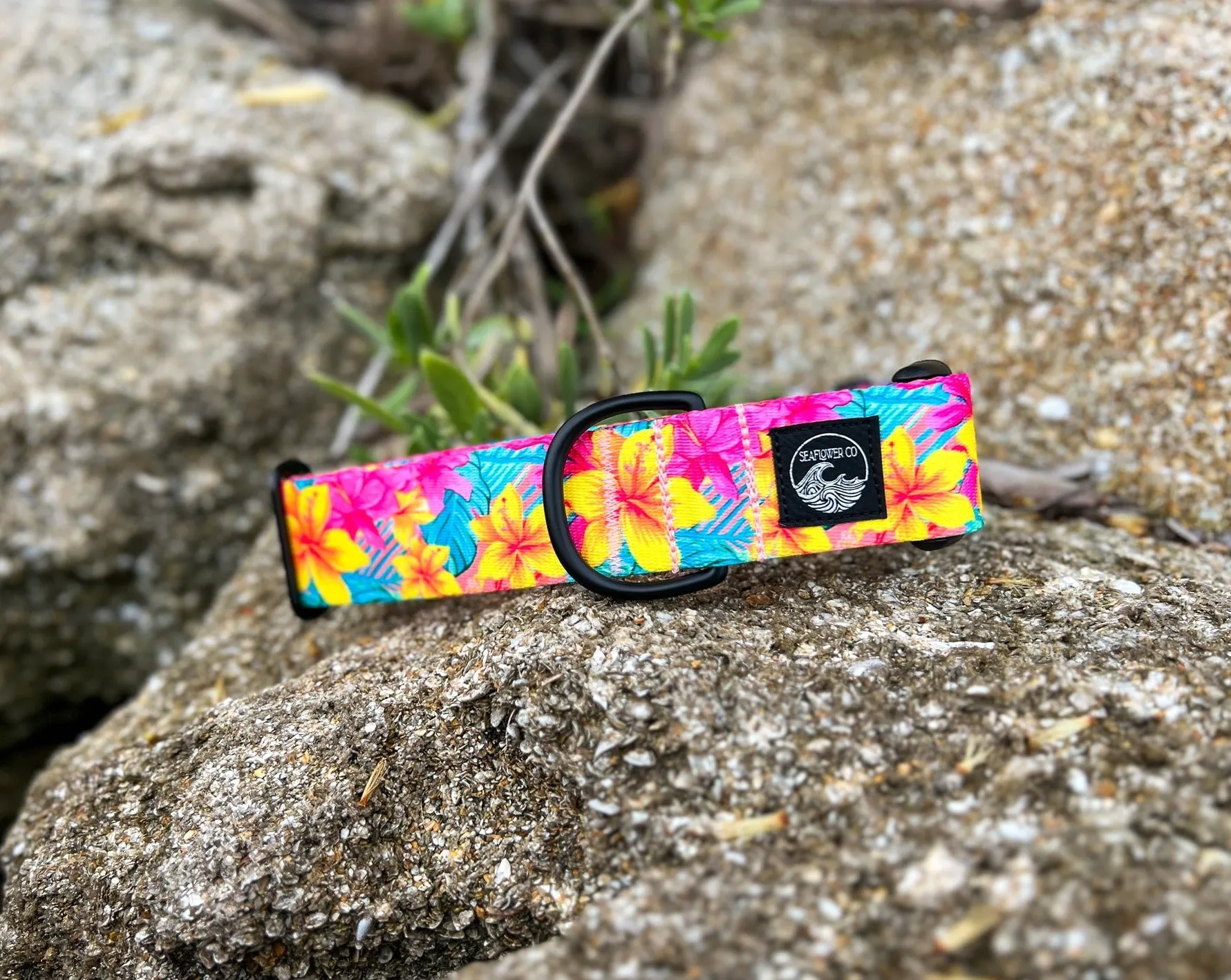 Kona
