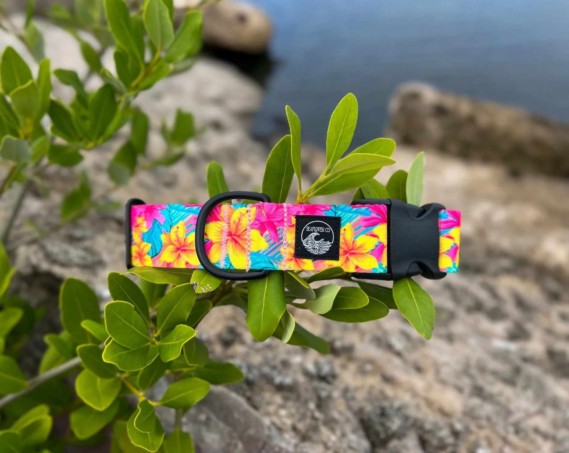 Kona
