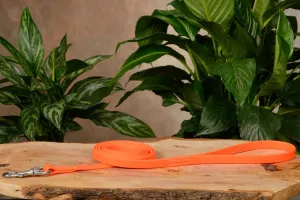 Neon Orange Hercules 6 Foot Dog Leash