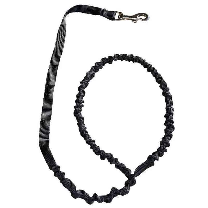 Only Leash MINI (small dogs)