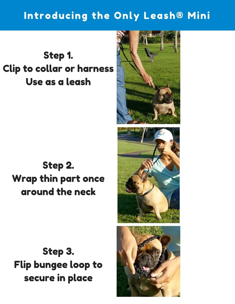 Only Leash MINI (small dogs)
