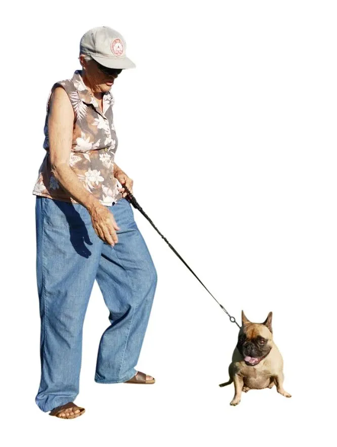 Only Leash MINI (small dogs)