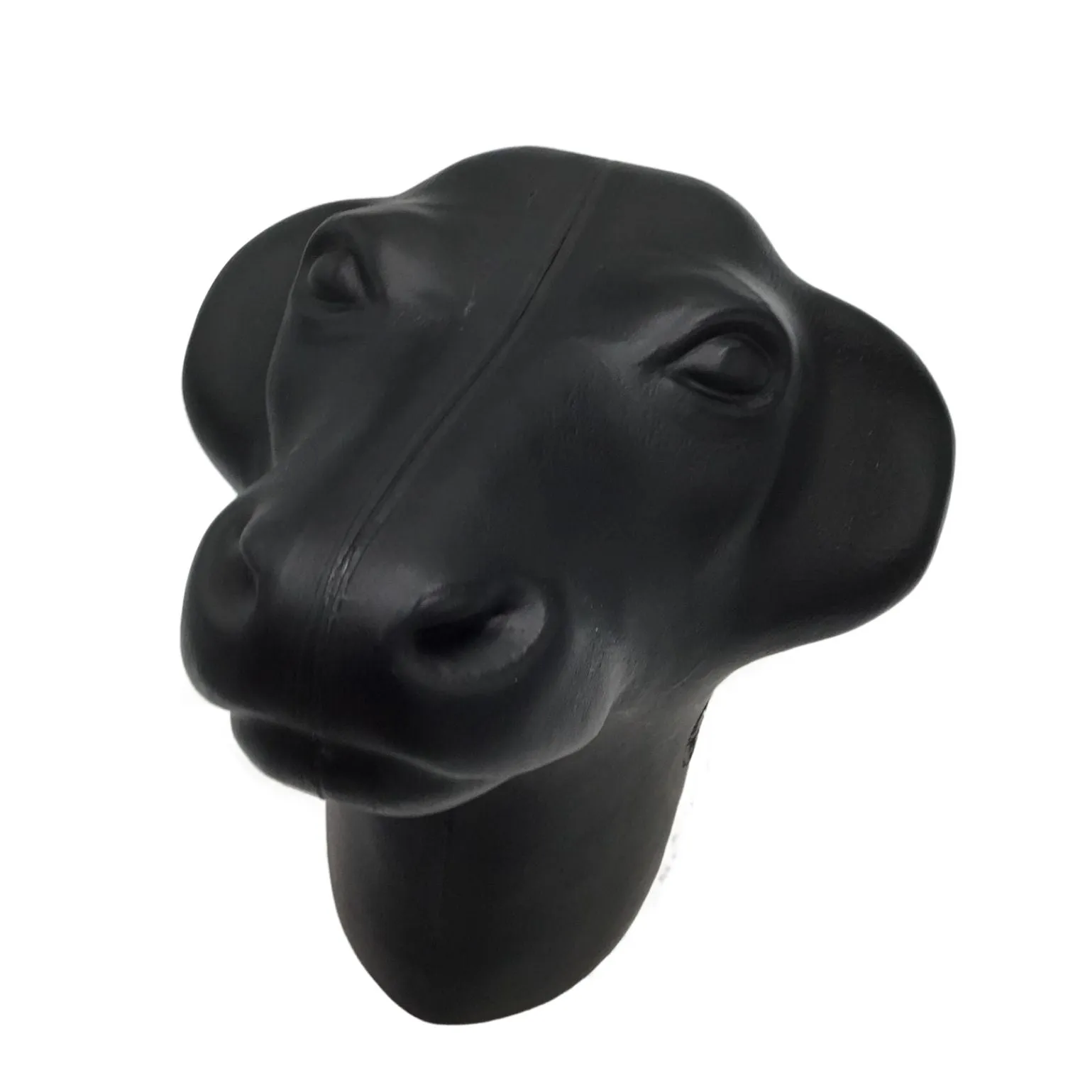 Practice Calf Head