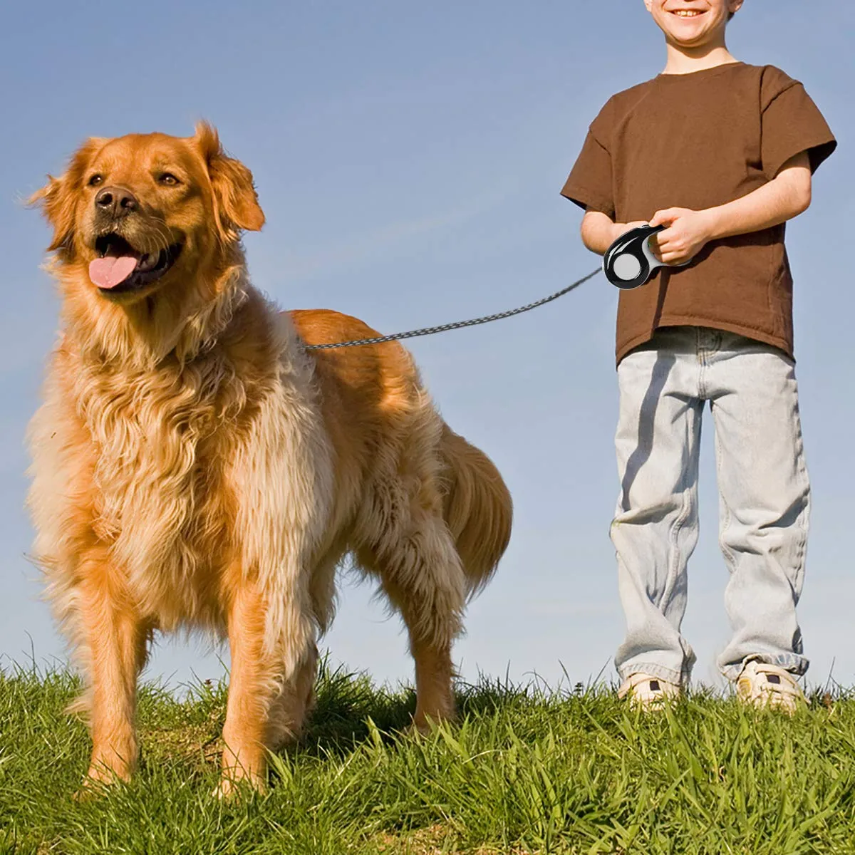 Retractable Dog Leash with Tangle-Free Heavy Duty One Button Break & Lock Tape