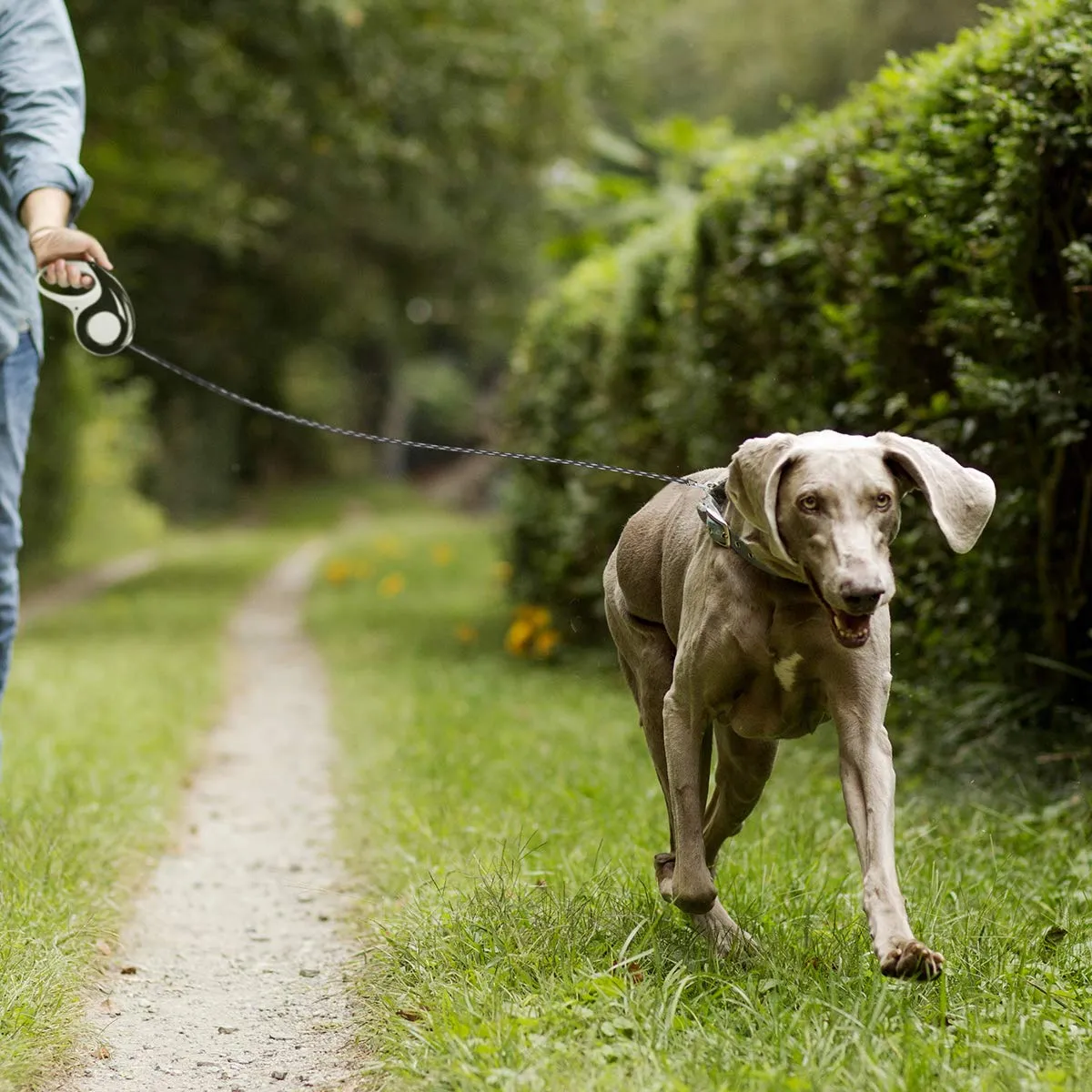 Retractable Dog Leash with Tangle-Free Heavy Duty One Button Break & Lock Tape