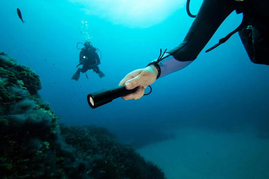 Scuba Diving torch 1,000 lm black