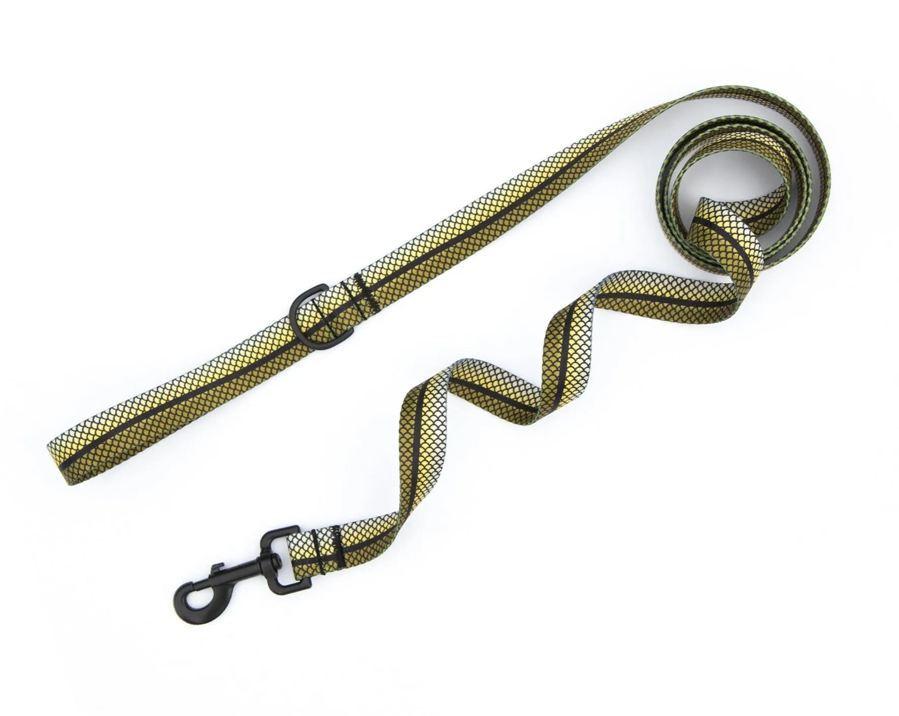 Snook Leash