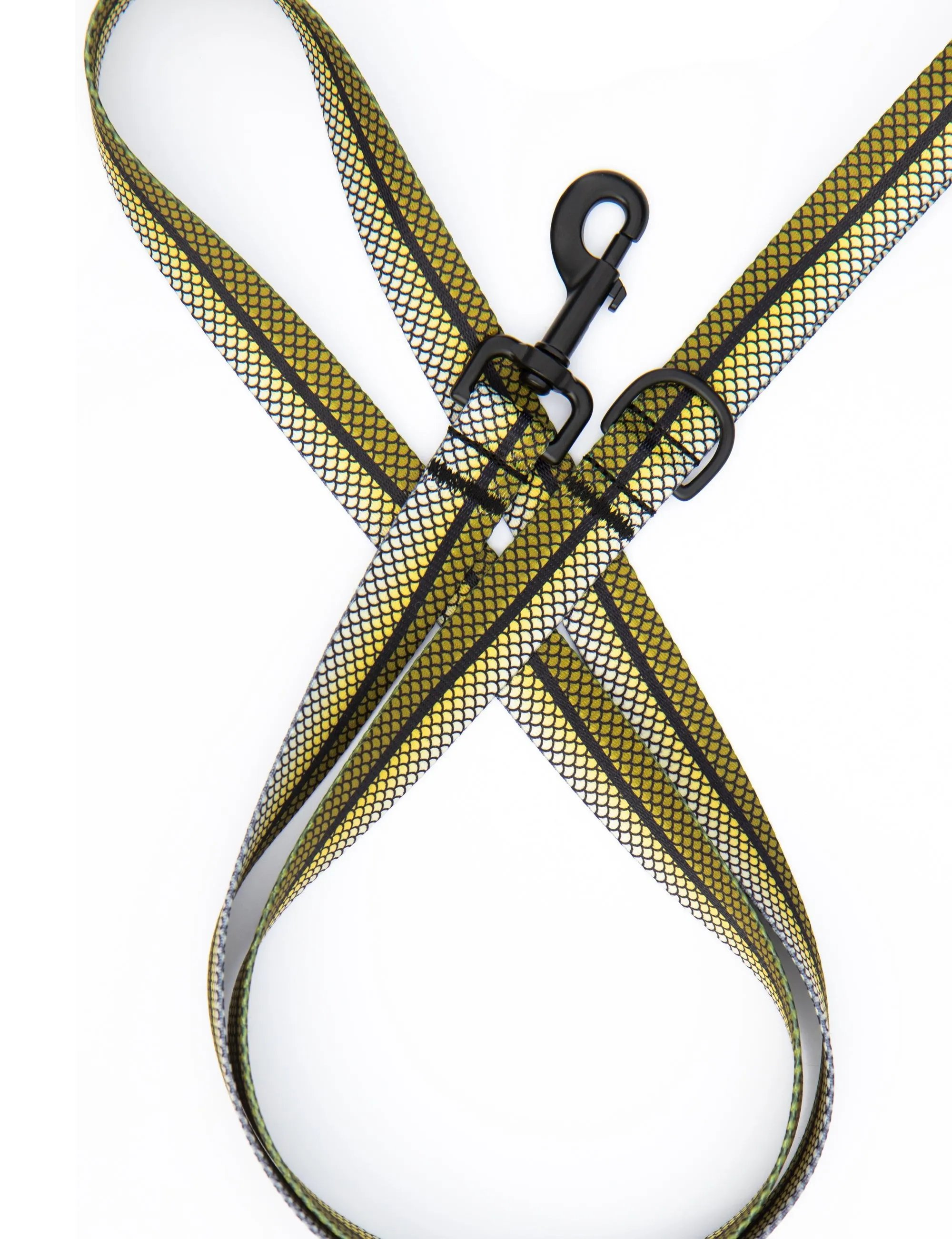 Snook Leash