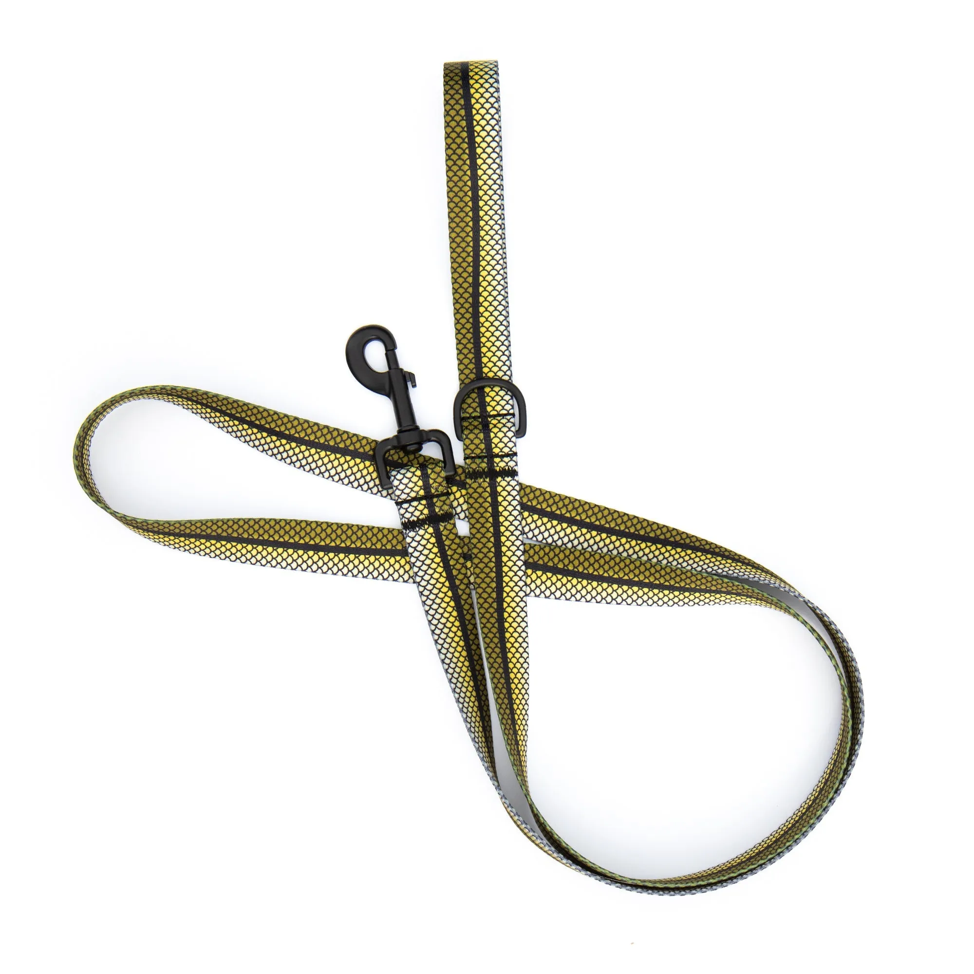 Snook Leash