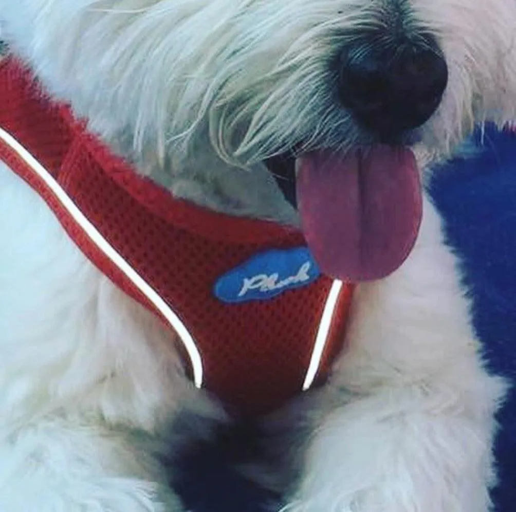 Step In Air Mesh Dog Harnesses by Plush, 15 Colors, Size 3XS - M