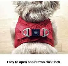 Step In Air Mesh Dog Harnesses by Plush, 15 Colors, Size 3XS - M