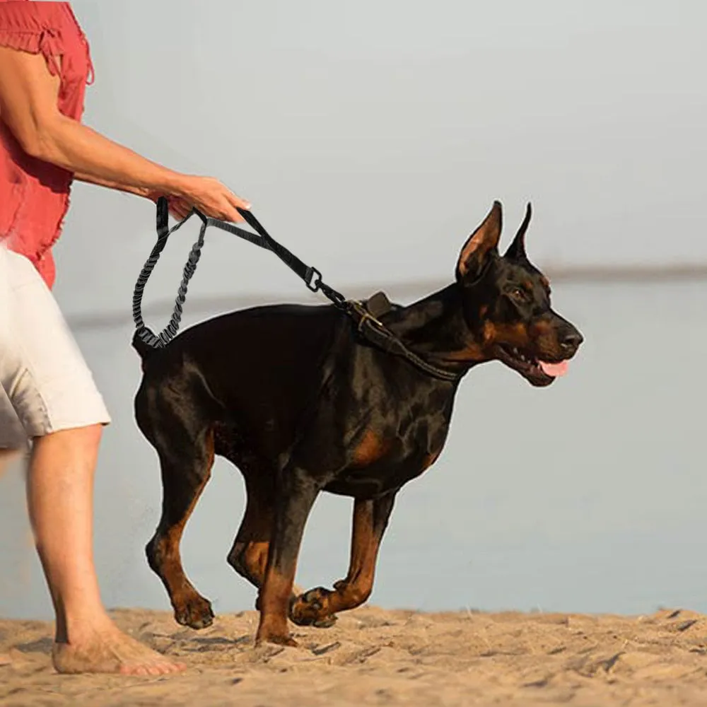 Tactical Dog Leash Training Bungee