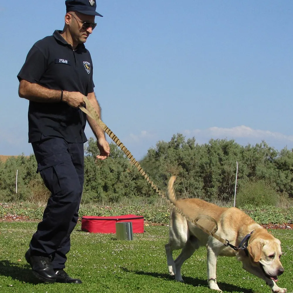 Tactical Dog Leash Training Bungee