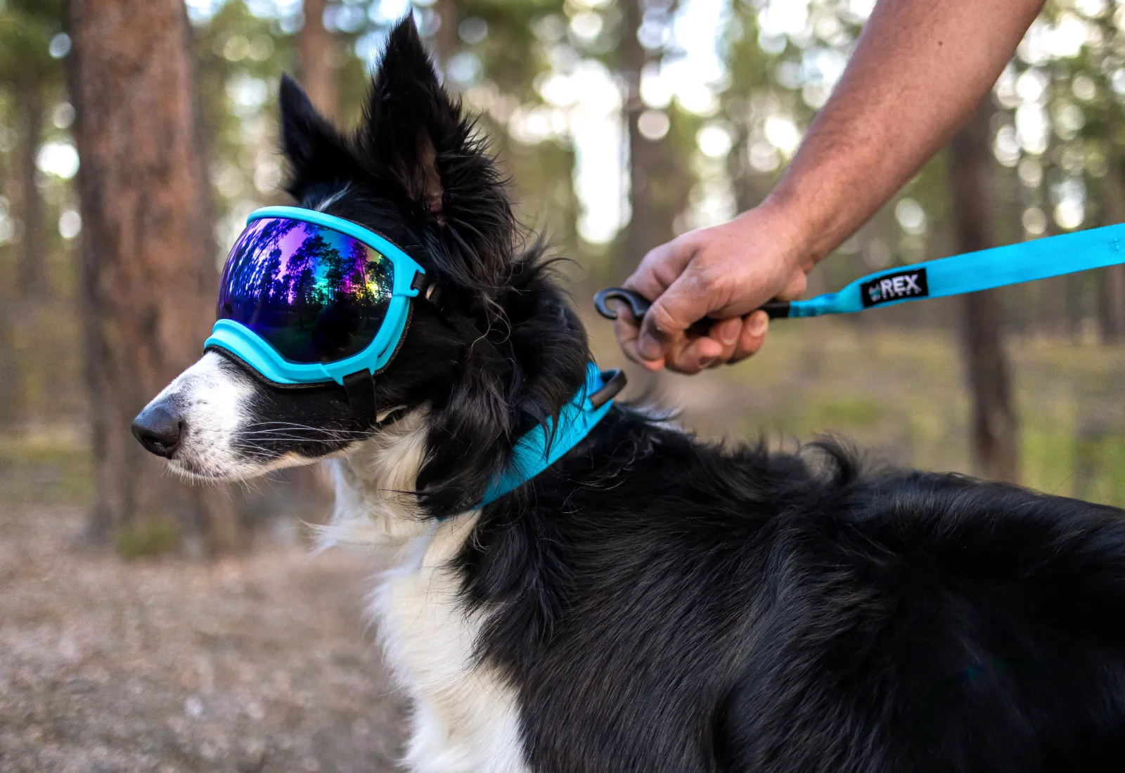 Trailhead Collar