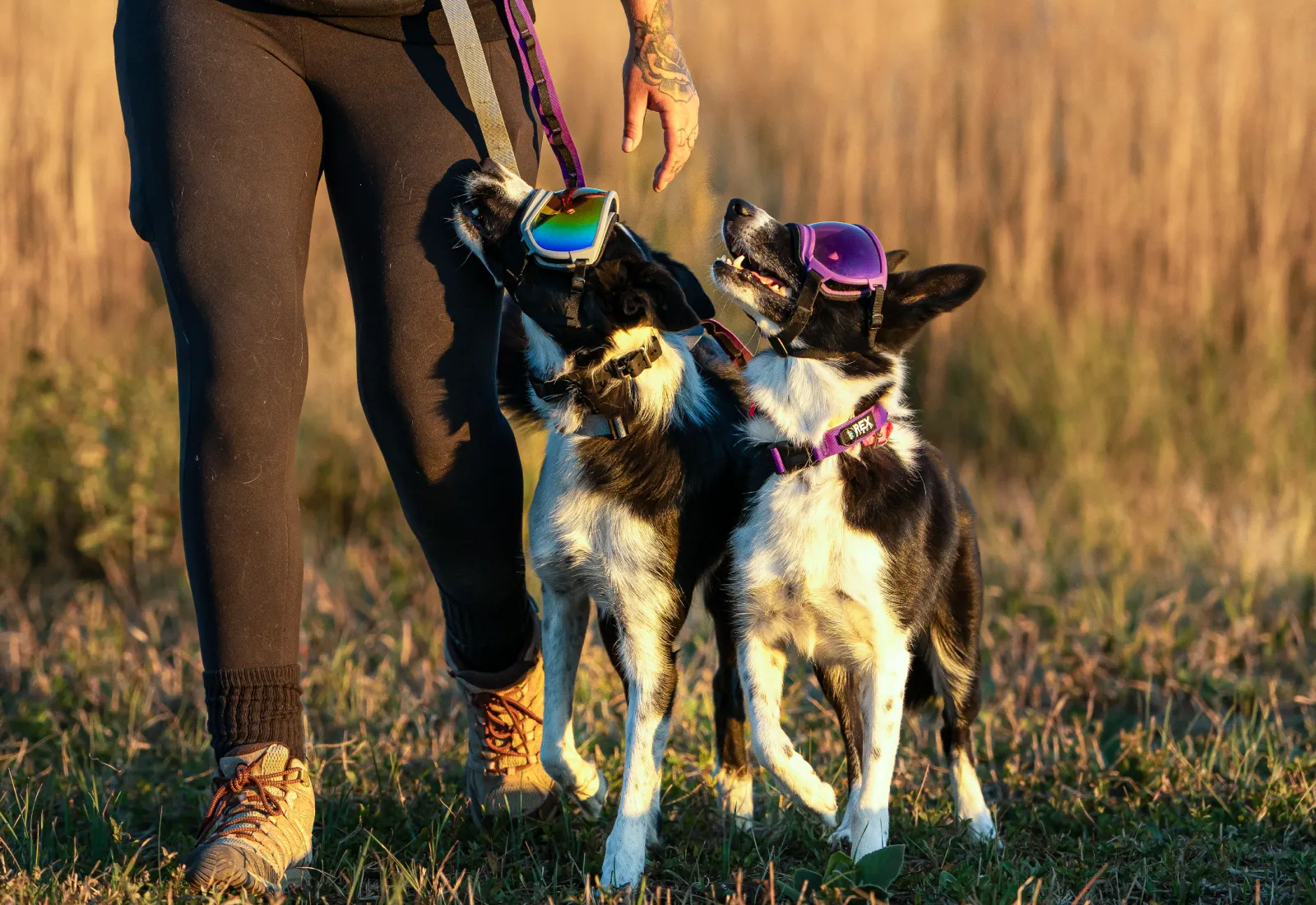 Trailhead Collar