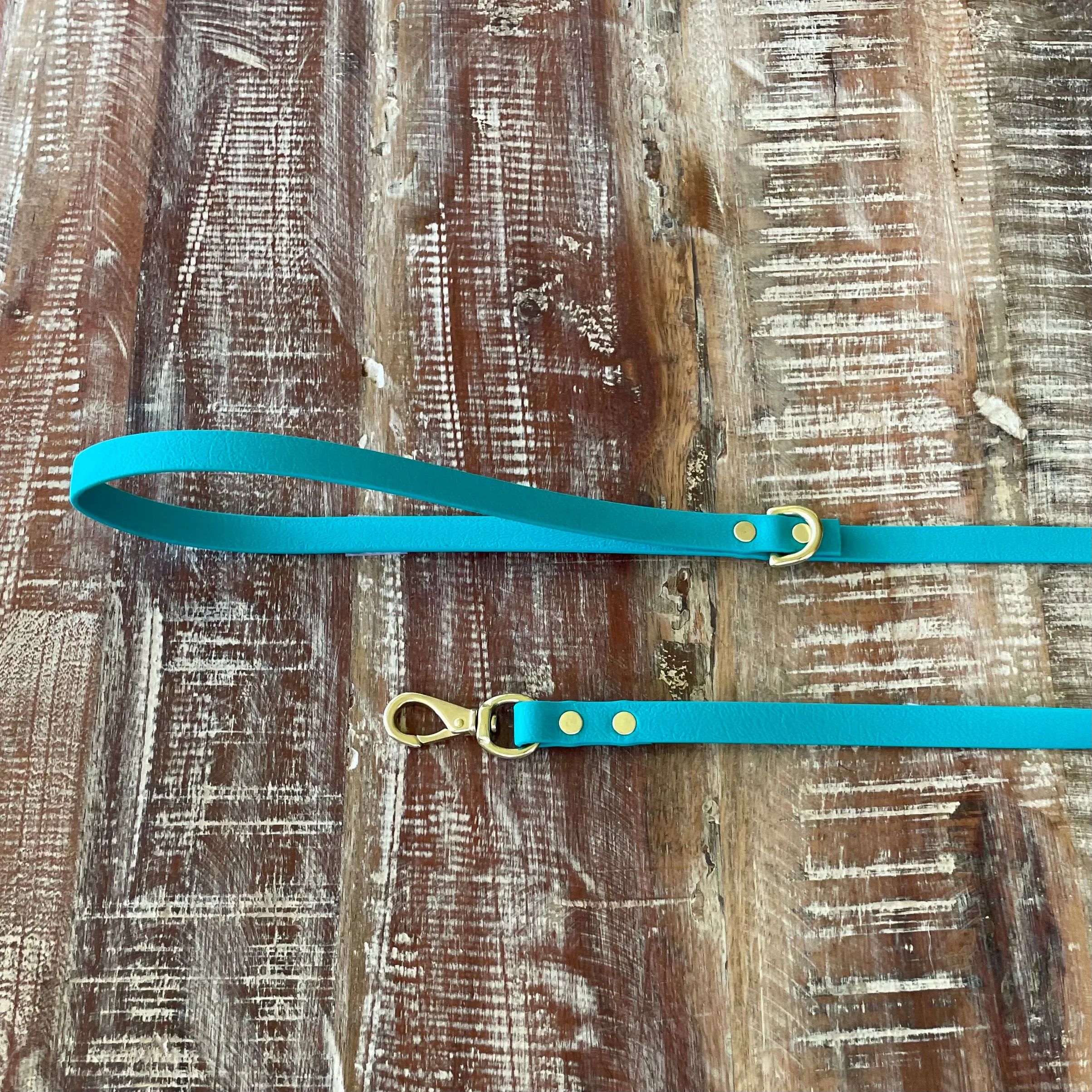Waterproof Leash (Lightweight) : Teal   Brass