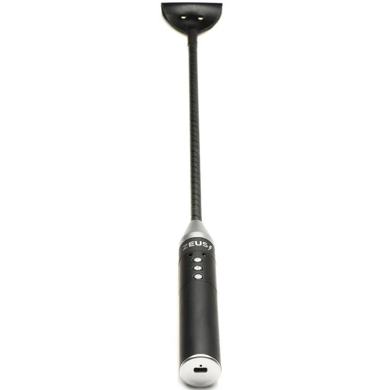 Zeus Electrosex Riding Crop